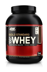 Optimum Nutrition Whey Gold Standard Protein