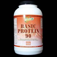 Vintaxx Basic Protein 90